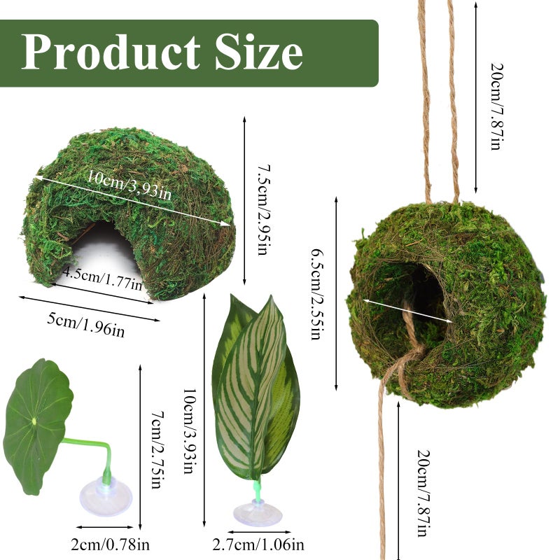 Hollima Big Jumping Spider Hide Kit, Jumping Spider Enclosures Habitat Accessories, Climbing Spiders Resting Hideout with Suction Cup Rope Bridge Leaf Ledge for Tarantula Small Insects - Image 2