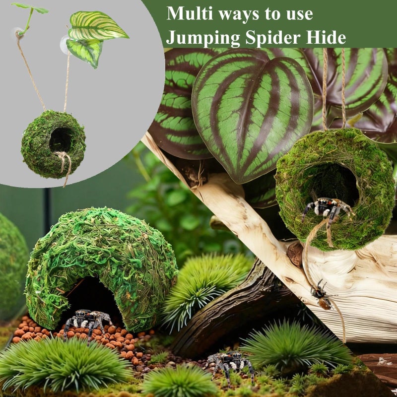Hollima Big Jumping Spider Hide Kit, Jumping Spider Enclosures Habitat Accessories, Climbing Spiders Resting Hideout with Suction Cup Rope Bridge Leaf Ledge for Tarantula Small Insects - Image 3