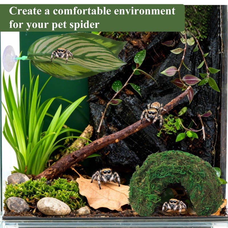 Hollima Big Jumping Spider Hide Kit, Jumping Spider Enclosures Habitat Accessories, Climbing Spiders Resting Hideout with Suction Cup Rope Bridge Leaf Ledge for Tarantula Small Insects - Image 5