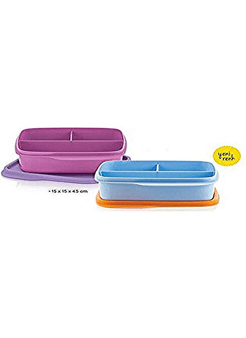 Tupperware Lunch Box with Compartments Set of 2 550 ml 