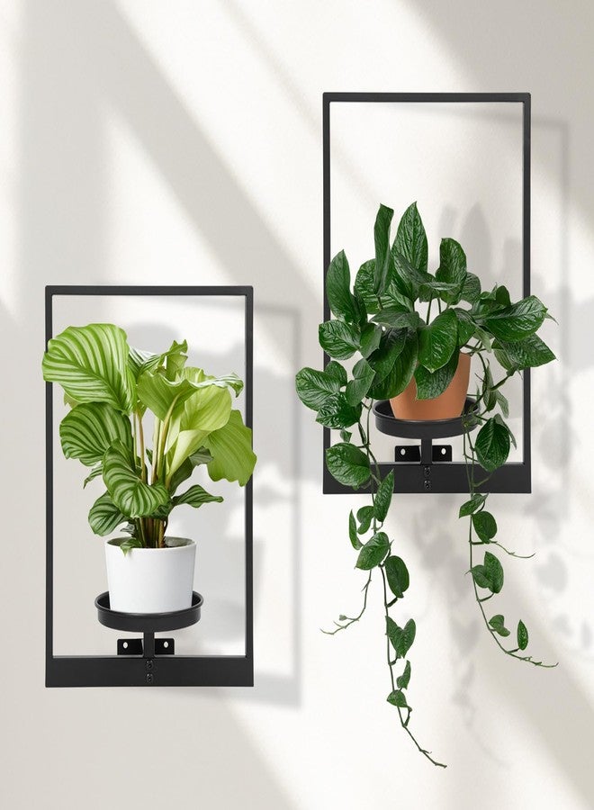 storenization Wall Planters Window Plant Shelves Set of 2, Wall Plant Stand for Indoor Plants - Premium Metal Hanging Plant Holder for Indoor Outdoor Decor (Pots are not included) - Image 1