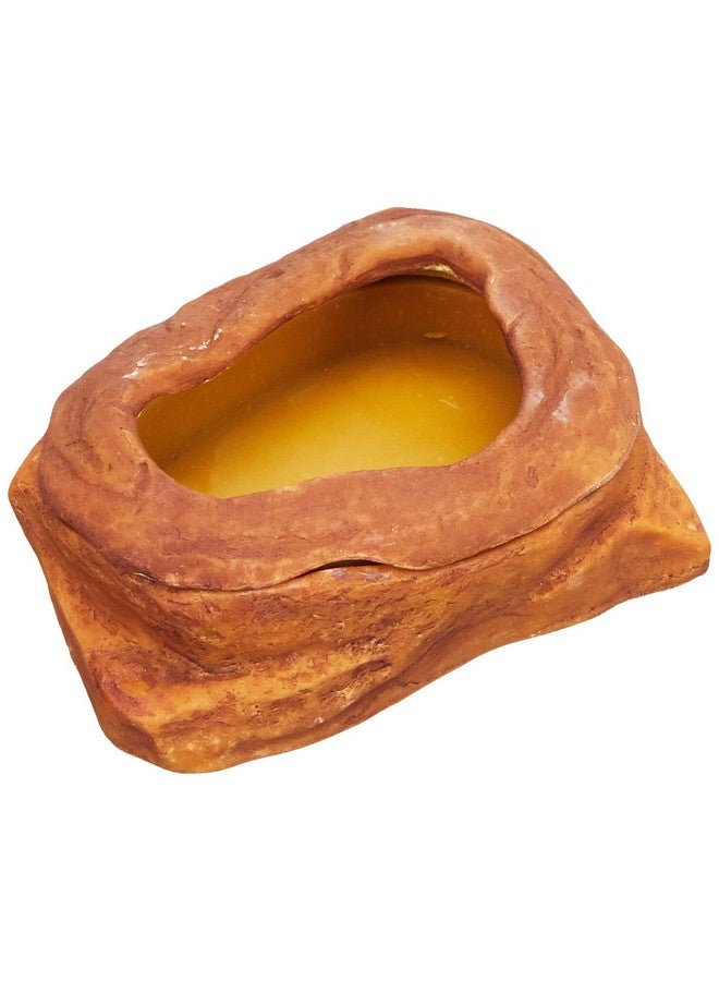 Exo Terra Worm Dish Mealworm Feeder Medium (Pack of 1) - Image 1