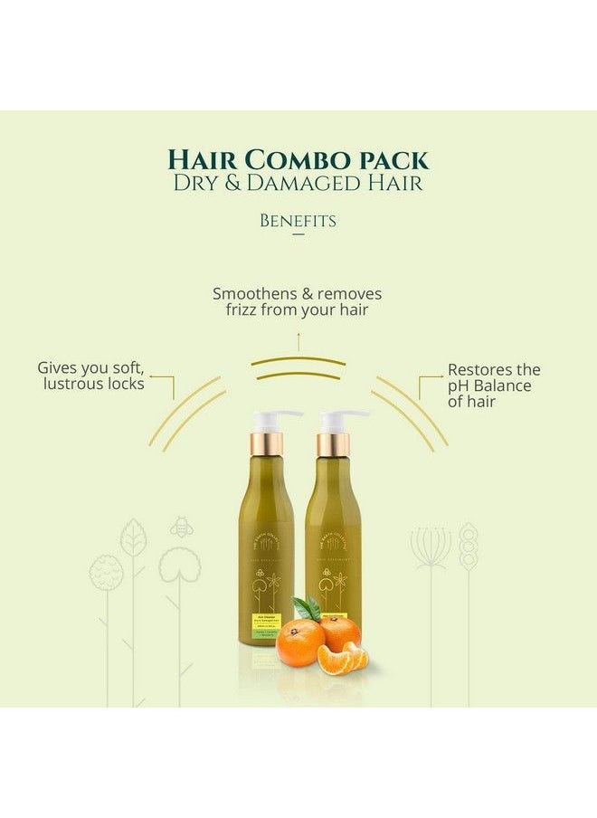 THE EARTH COLLECTIVE - Hair Cleanser & Conditioner Dry And Damaged Combo Pack ; Ingredients Like Honey Centella Mandarin For Dry Frizzy Rough Hair ; No Harmful Chemical ; Pack Of 200Ml Each - Image 1