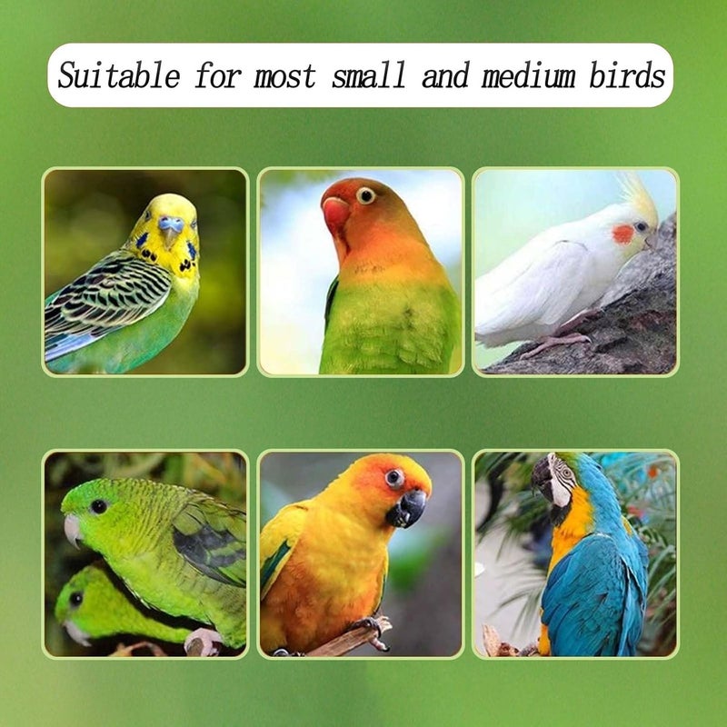 Xxmbbjy Automatic Acrylic Bird Feeder for Cage, No Mess - Small Bird Parrots, Canary, Parakeet, Budgerigar, Crested Myna, Cockatiel (XL) - Image 4