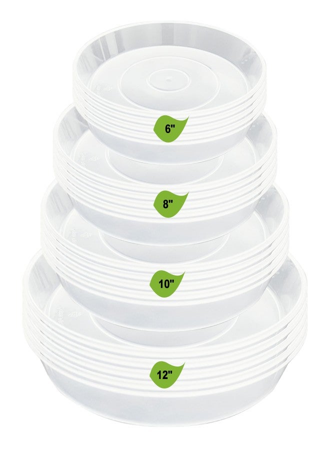 LWALRS 20 Pack Plant Saucer Tray (6 8 10 12 inch), Plant Saucers for Indoors Outdoor, Plastic Heavy Duty Drainage Drip Water Trays for Planter Pots Flower, Clear Pot Saucers Trays for Plants - Image 1