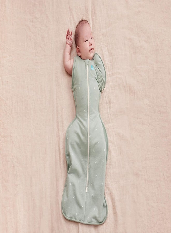 لاف تو دريم حقيبة نوم Love to Dream Swaddle Up™ الانتقالية، مقاس 1.5T، مصنوعة من قطن فليس مطاطي، مناسبة للأطفال من 19 إلى 24 رطلاً، المرحلة 2، مناسبة لجميع الفصول، ناعمة ومريحة، مثالية لروتين نوم الطفل، لون أغصان الزيتون - Image 5