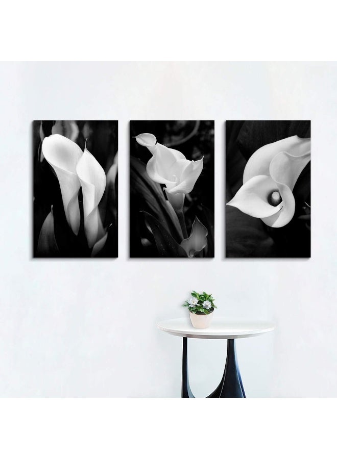 Hardy Gallery Floral Artwork Nature Flower Picture CallaLily Print on Canvas Set for Wall Art - Image 1