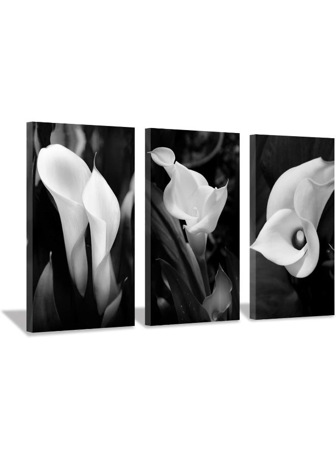 Hardy Gallery Floral Artwork Nature Flower Picture CallaLily Print on Canvas Set for Wall Art - Image 4
