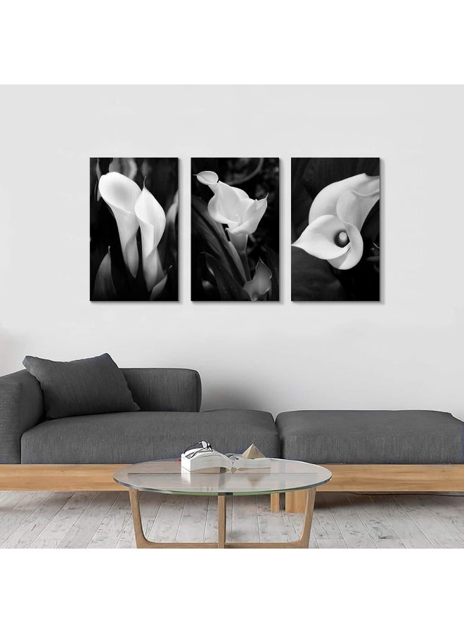 Hardy Gallery Floral Artwork Nature Flower Picture CallaLily Print on Canvas Set for Wall Art - Image 5