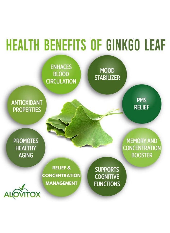 ALOVITOX - Ginkgo Biloba Powder 8Oz (2Pcs) Ginkgo Biloba Tea Supports Healthy Aging Ginkgo Biloba Powder ; Ginkgo Biloba Organic Natural Ginko Leaf Extract Vegan Nongmo & Certified Ginkgo Powder Organic - Image 1