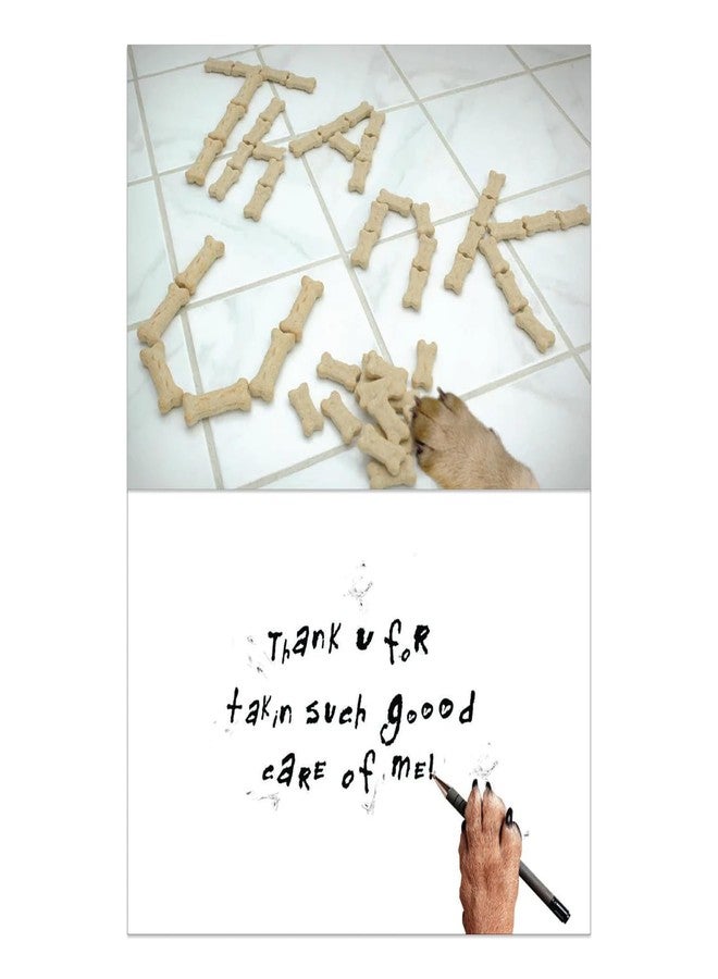 Dog Speak Thank You Letter - Pet Sitter Appreciation Card - Dog Paw with Treats Design, 4.75" x 6.75" - Includes Envelope, Thoughtful Pet Care Thank You - Image 3