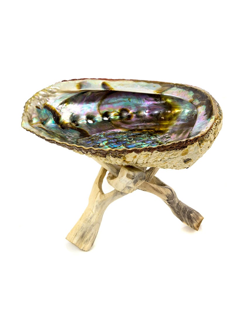 New Age Smudges & Herbs New Age Smudges and  Herbs 5 to  6 inches Premium Natural Abalone Shell and Wooden Stand
