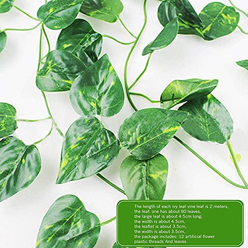 Dekorly Artificial Green Leaf Vine Money Plant Hanging, Artificial Ivy Leaves, Artificial Creeper Leaf Vine, Artificial Ivy Foliage, Ivy Wall Decor,Roof Decor | Each Plant 6 Feet (Green, 8) - Image 4