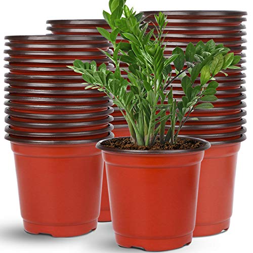Augshy 110 Pcs 6" Plastic Plants Nursery Pot, Seed Starting Pots for Succulent Seedling Cutting Transplanting - Image 1