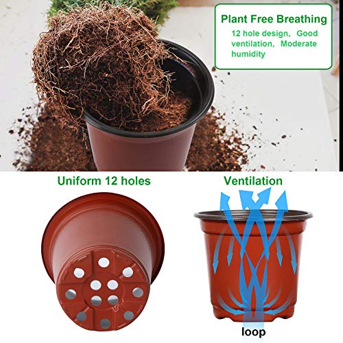 Augshy 110 Pcs 6" Plastic Plants Nursery Pot, Seed Starting Pots for Succulent Seedling Cutting Transplanting - Image 4