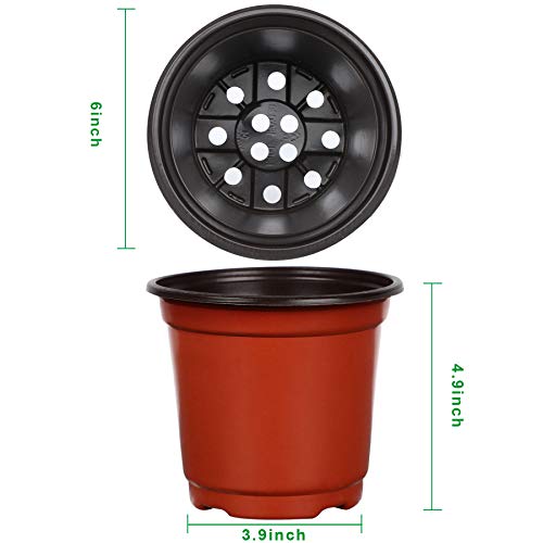 Augshy 110 Pcs 6" Plastic Plants Nursery Pot, Seed Starting Pots for Succulent Seedling Cutting Transplanting - Image 2