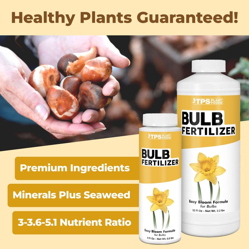 TPS NUTRIENTS Bulb Fertilizer, Complete Liquid Bulb Plant Food for All Bulbous Plants, 8 oz (250mL) - Image 2