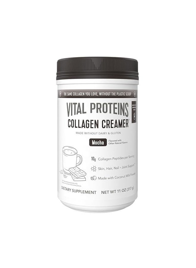 Vital Proteins كريم قهوة الكولاجين، قائم على حليب جوز الهند و مسحوق منخفض السكر مع مكمل ببتيدات الكولاجين - يدعم صحة الشعر والبشرة والأظافر مع تعزيز الطاقة من MCTs - موكا 11.2 أونصة - Image 1