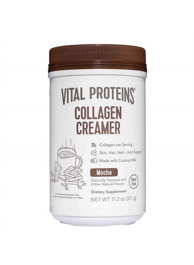 Vital Proteins كريم قهوة الكولاجين، قائم على حليب جوز الهند و مسحوق منخفض السكر مع مكمل ببتيدات الكولاجين - يدعم صحة الشعر والبشرة والأظافر مع تعزيز الطاقة من MCTs - موكا 11.2 أونصة - Image 2