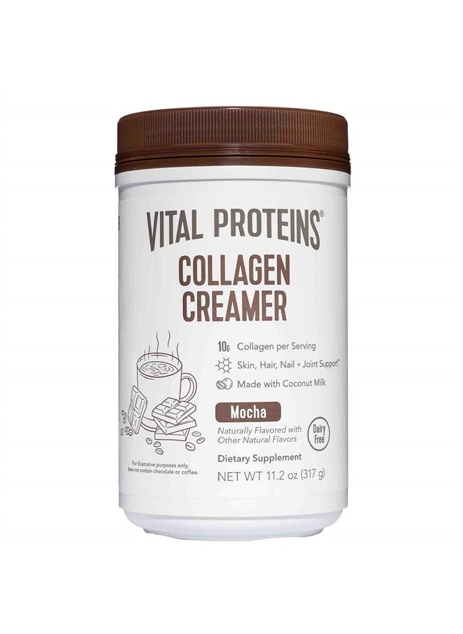 Vital Proteins - Collagen Coffee Creamer, Coconut Milk based & Low Sugar Powder with Collagen Peptides Supplement - Supporting Healthy Hair, Skin, Nails with Energy-Boosting MCTs - Mocha 11.2oz - Image 1