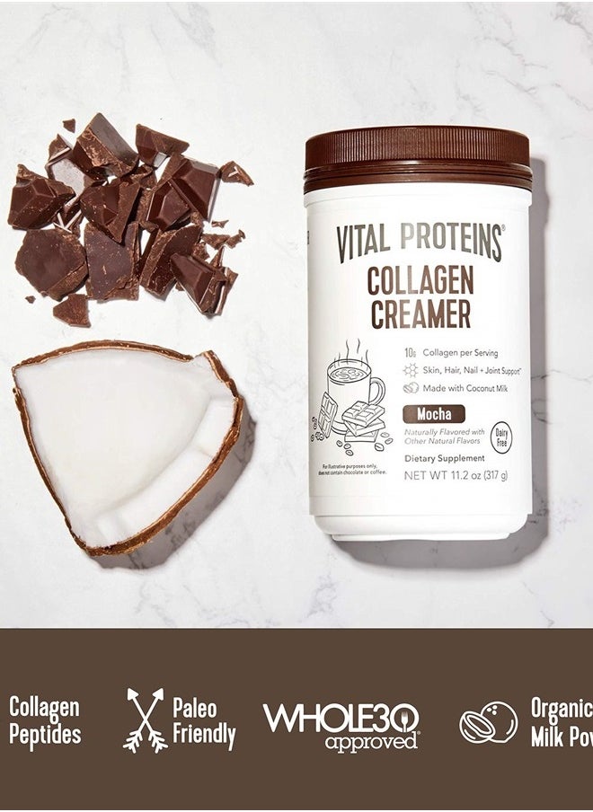Vital Proteins - Collagen Coffee Creamer, Coconut Milk based & Low Sugar Powder with Collagen Peptides Supplement - Supporting Healthy Hair, Skin, Nails with Energy-Boosting MCTs - Mocha 11.2oz - Image 1