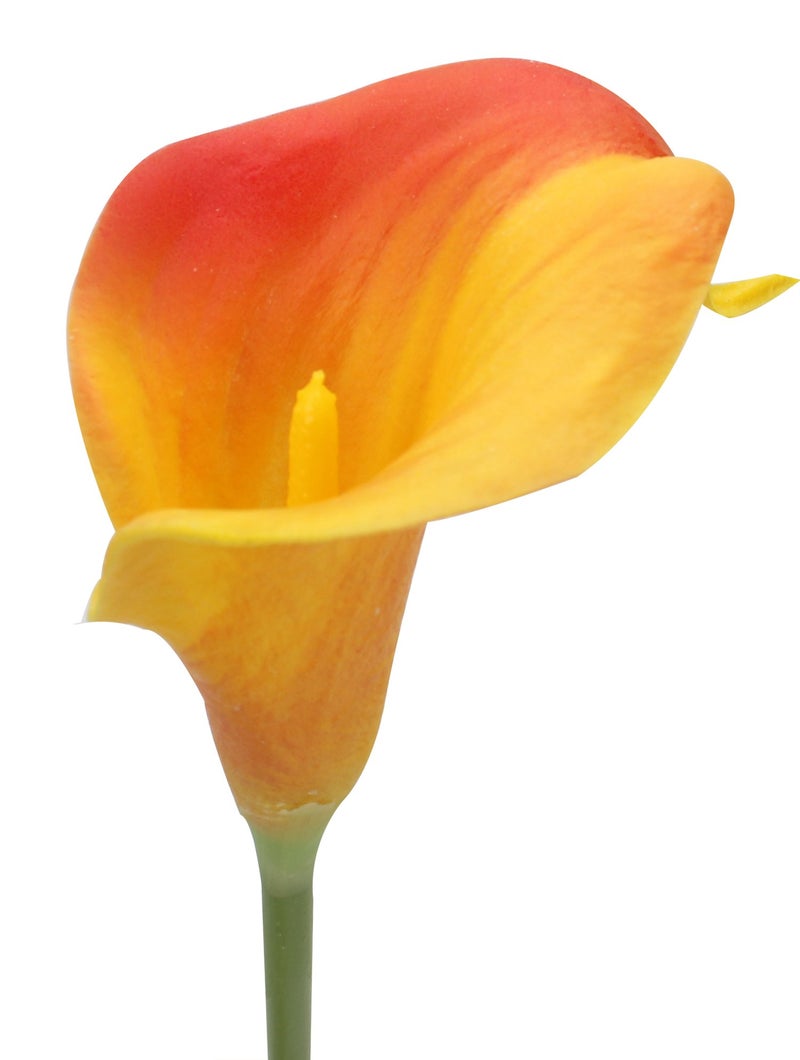 Duovlo 20pcs Calla Lily Bridal Wedding Bouquet Lataex Real Touch Artificial Flower Home Party Decor (Sunset) - Image 2