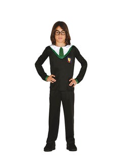 Fiestas Guirca HARRY POTTER Costume, 7-9 Years. Costume includes: T-shirt with Tie, Pants 