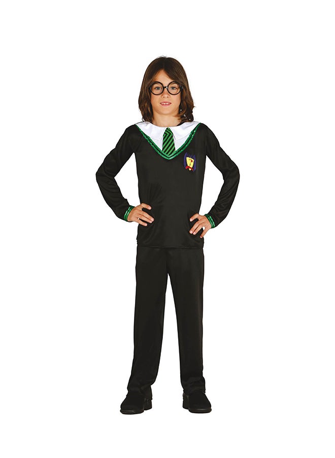 Fiestas Guirca HARRY POTTER Costume, 7-9 Years. Costume includes: T-shirt with Tie, Pants 