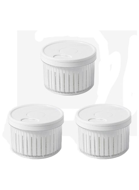 3 Pcs Sealed Storage Box for Scallions, Ginger & Garlic | Multi-Purpose Containers with Lid (White)