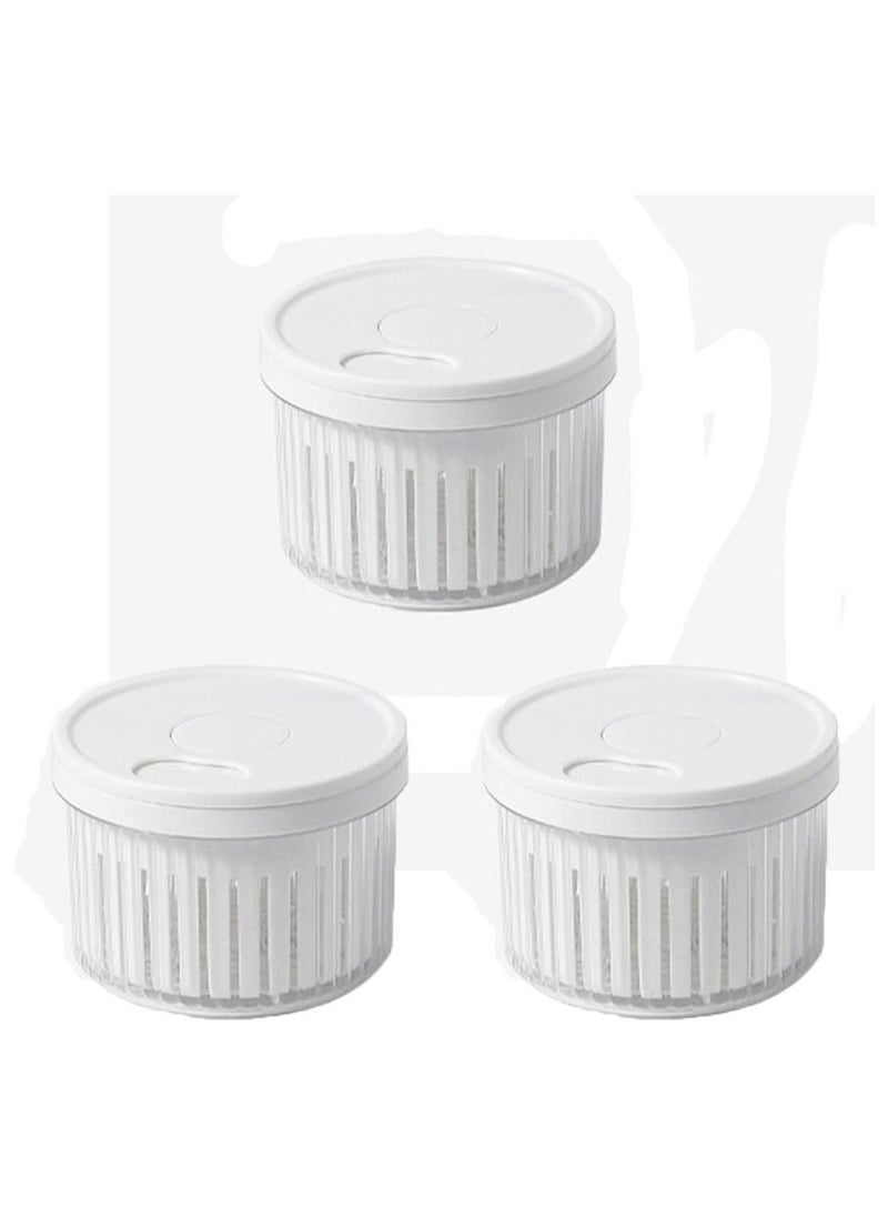 Oasisgalore - 3 Pcs Sealed Storage Box for Scallions, Ginger & Garlic | Multi-Purpose Containers with Lid (White) - Image 1
