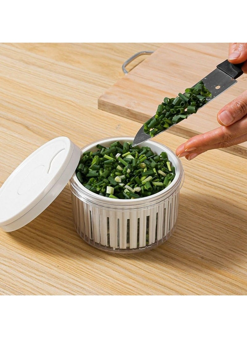 Oasisgalore - 3 Pcs Sealed Storage Box for Scallions, Ginger & Garlic | Multi-Purpose Containers with Lid (White) - Image 1
