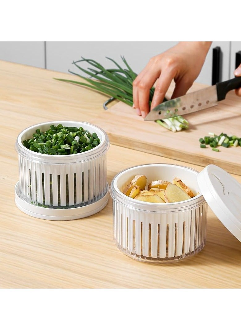 Oasisgalore - 3 Pcs Sealed Storage Box for Scallions, Ginger & Garlic | Multi-Purpose Containers with Lid (White) - Image 1