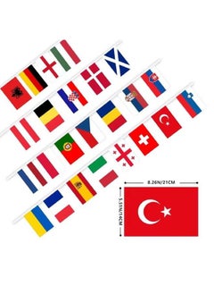 THE BABA Bunting Flags Euro 2024 Cup European Countries String Flag 8M 24 Countries Europe Cup National Flag Football Match Bunting Banner for Bar Party Decor  - Image 5