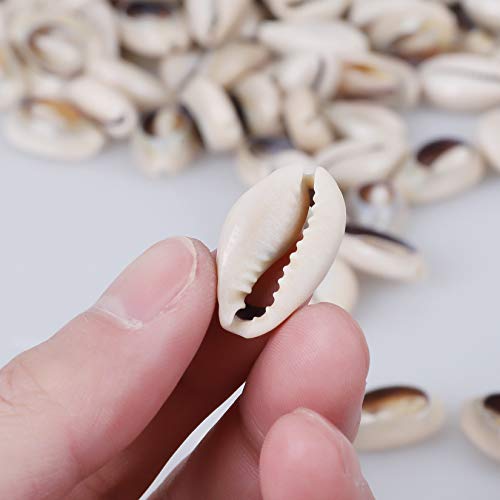 PPCLION 150 PCS 0.63"-0.71" Natural Strong Cowrie Shell Beads Smooth Cut Oval Seashells, Beach Seashells with Big Hole for DIY Craft Jewelry Making, Adorning Hair Locks and Braids - Image 3