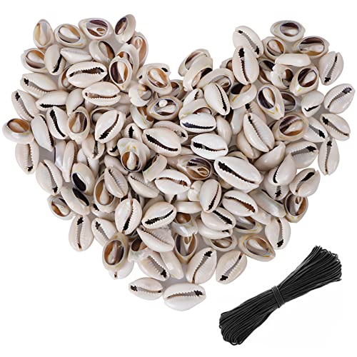 PPCLION 150 PCS 0.63"-0.71" Natural Strong Cowrie Shell Beads Smooth Cut Oval Seashells, Beach Seashells with Big Hole for DIY Craft Jewelry Making, Adorning Hair Locks and Braids - Image 1