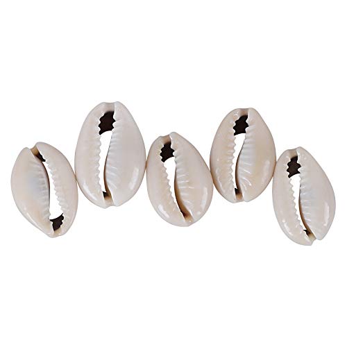 PPCLION 150 PCS 0.63"-0.71" Natural Strong Cowrie Shell Beads Smooth Cut Oval Seashells, Beach Seashells with Big Hole for DIY Craft Jewelry Making, Adorning Hair Locks and Braids - Image 4