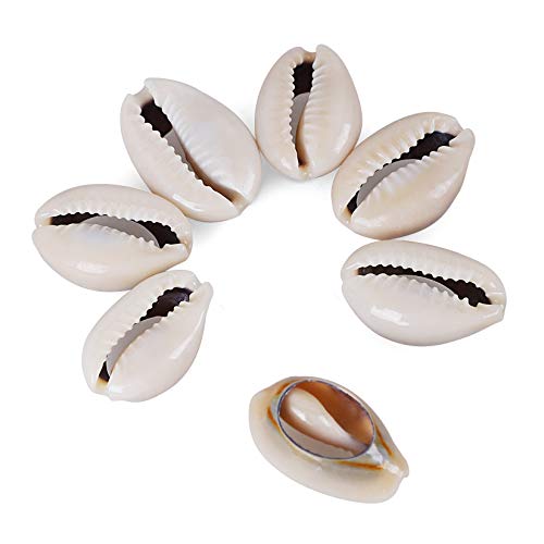 PPCLION 150 PCS 0.63"-0.71" Natural Strong Cowrie Shell Beads Smooth Cut Oval Seashells, Beach Seashells with Big Hole for DIY Craft Jewelry Making, Adorning Hair Locks and Braids - Image 5