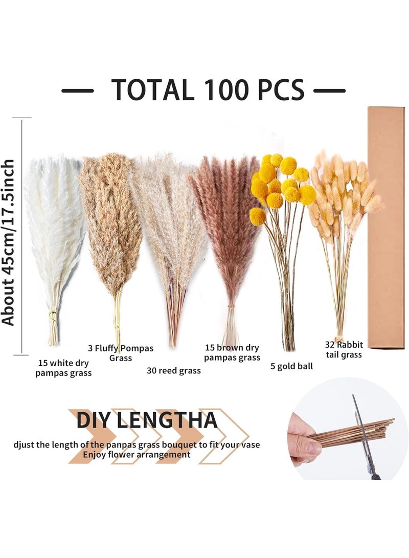 Purfex 100 Pcs Natural Dried Pampas Grass,17.5" Pampas Dried Flowers Bouquet - Boho Home Decor,Artificial Flowers for Wedding,Pampas Flowers for Floral Room,Home, Party,Table Decorations - Image 3