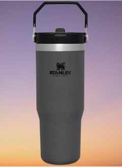 IceFlow Flip Straw Water Bottle, 0.88L – Vacuum Insulated Leakproof & BPA-Free – Keeps Water Cold for 12 Hours – Easy-Carry, Dishwasher Safe Stainless Steel Travel Mug (Charcoal) – Perfect for Workouts, Commutes, and Outdoor Adventures