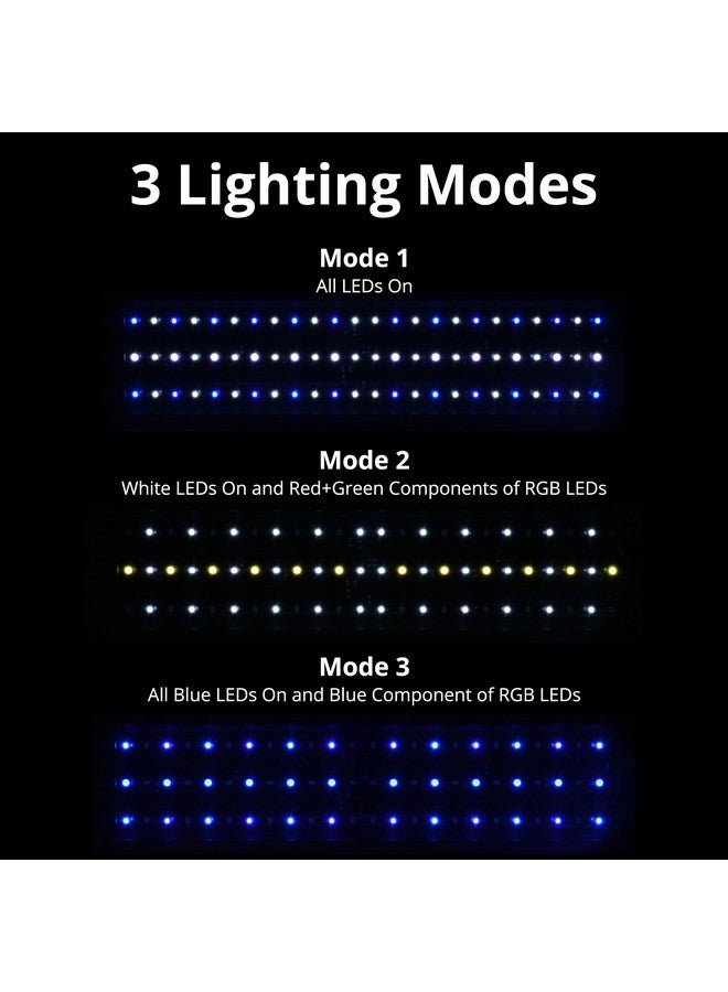 NICREW 20W Saltwater Aquarium Light, Marine LED Reef Light for Corals, Programmable Timer Controller, 18 to 24-Inch - Image 5