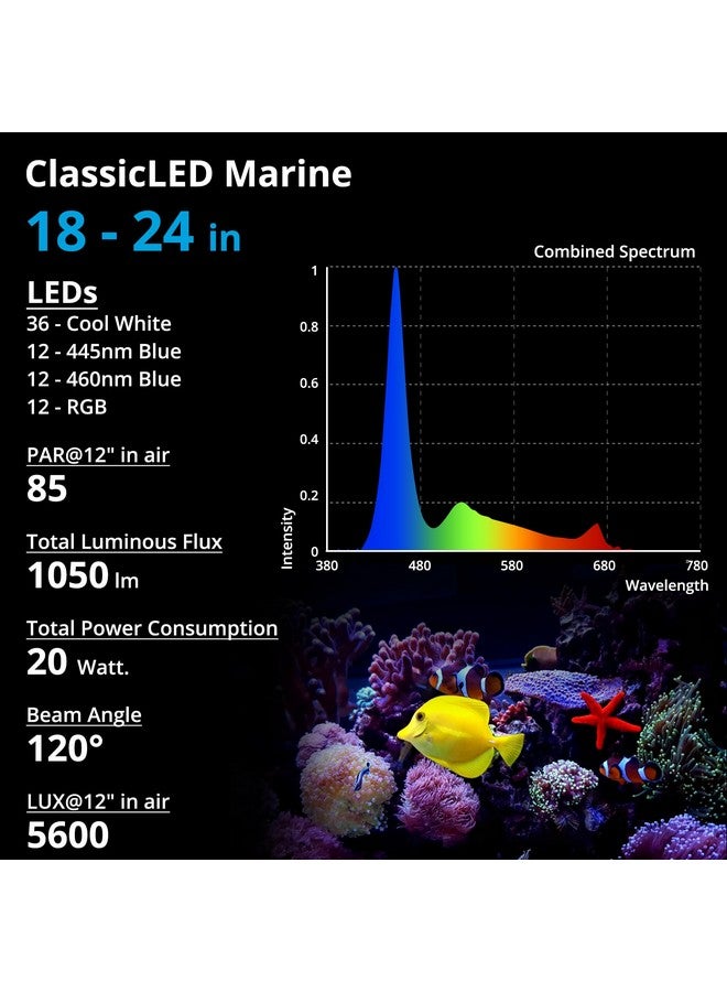 NICREW 20W Saltwater Aquarium Light, Marine LED Reef Light for Corals, Programmable Timer Controller, 18 to 24-Inch - Image 4