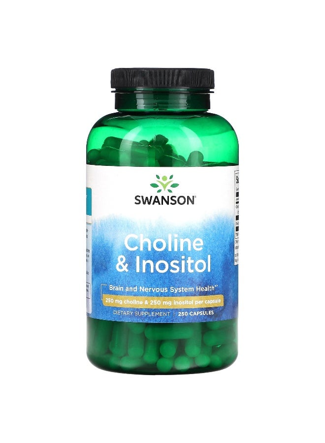 Swanson, Choline & Inositol, 250 mg, 250 Capsules - Image 1