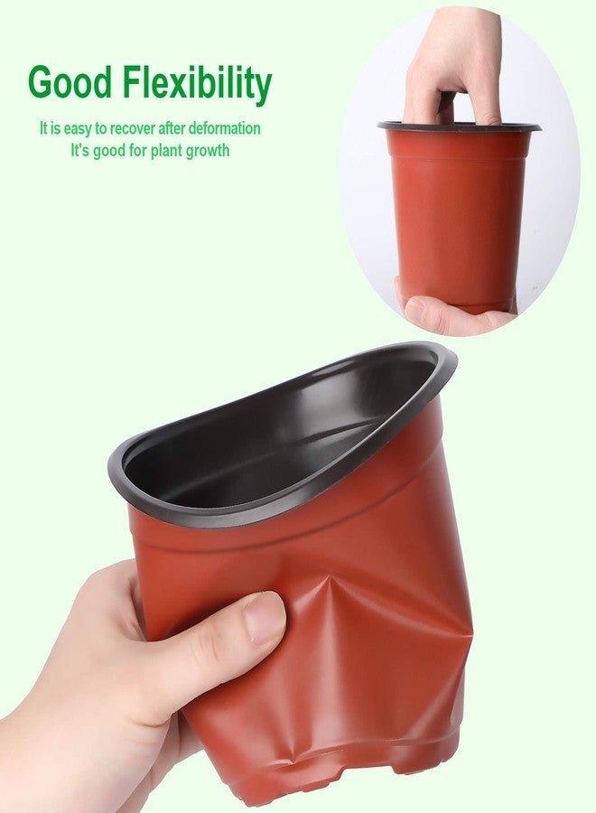 Augshy 110 Pcs 6" Plastic Plants Nursery Pot, Seed Starting Pots for Succulent Seedling Cutting Transplanting - Image 5