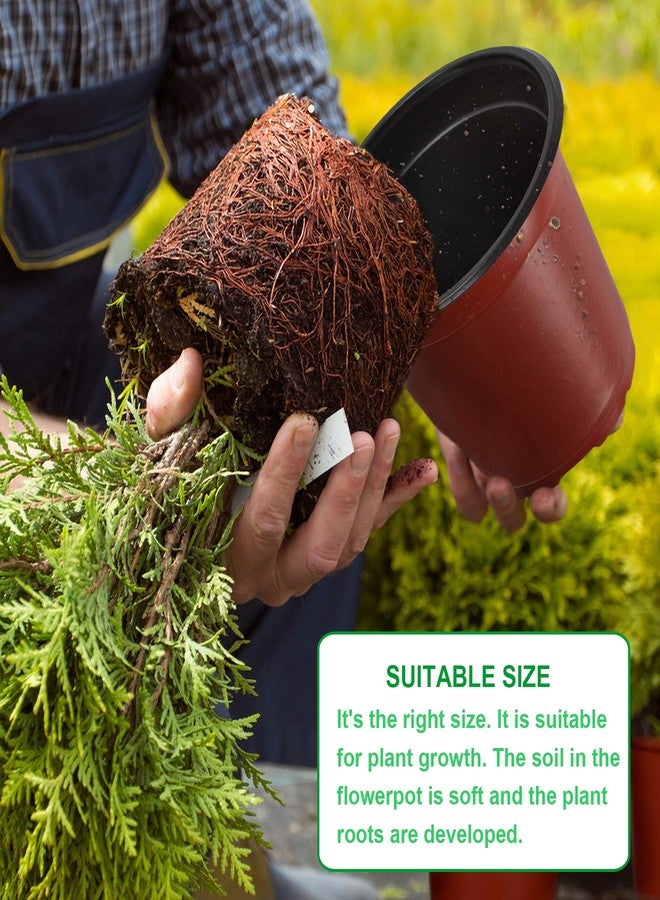 Augshy 110 Pcs 6" Plastic Plants Nursery Pot, Seed Starting Pots for Succulent Seedling Cutting Transplanting - Image 3