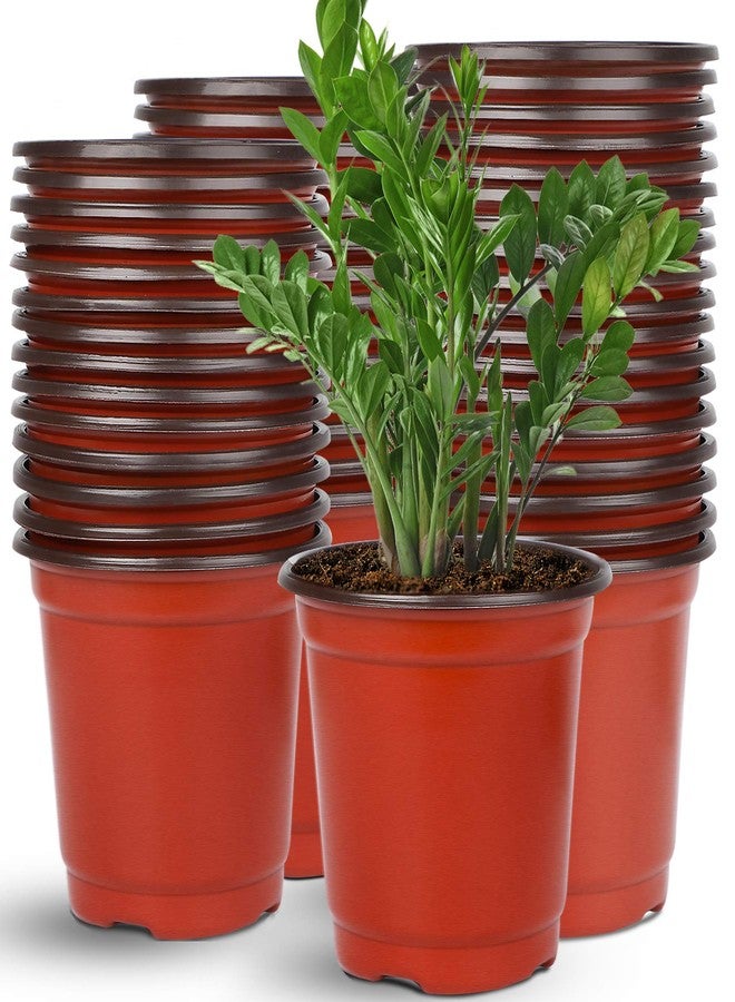 Augshy 110 Pcs 6" Plastic Plants Nursery Pot, Seed Starting Pots for Succulent Seedling Cutting Transplanting - Image 1