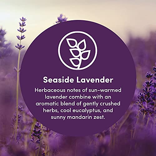 Clean Revolution Multi Surface Cleaner Refill Supply, Non-Toxic, Eco-Friendly & Plant-Based, Ready to Use, Seaside Lavender, 128 Fl Oz (1 Gallon) - Image 3