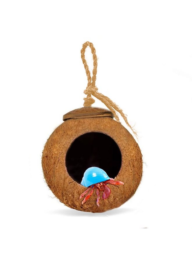SunGrow - SunGrow Leopard Gecko Coco Hut, Gecko Climbing Accessories, Raw Coconut Shell Reptile Hide, Terrarium Habitat Décor, 2.5” Opening Diameter, with Fiber Loop for Hanging (1-Hole) - Image 1