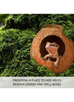 SunGrow SunGrow Leopard Gecko Coco Hut, Gecko Climbing Accessories, Raw Coconut Shell Reptile Hide, Terrarium Habitat Décor, 2.5” Opening Diameter, with Fiber Loop for Hanging (1-Hole)  - Image 4