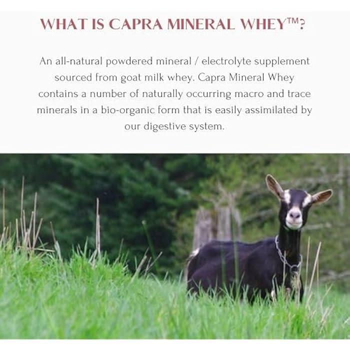 MT. CAPRA SINCE 1928 Mt. Capra Mineral Whey | A Whole Food, Bio-Available Mineral/Electrolyte Powder Supplement from Goat Milk Whey, Rich in Potassium, Alkalizing | 14 Servings - 12.7 oz - Image 4