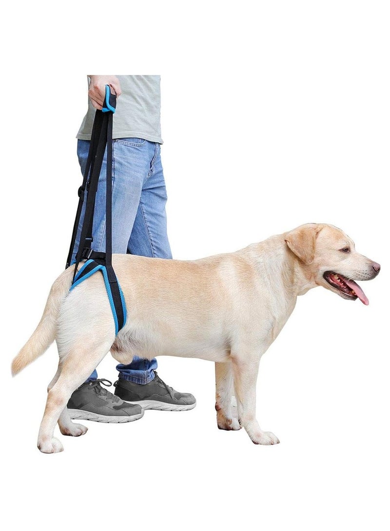 عام حزام رفع لكلاب ذات أرجل خلفية ضعيفة، مساعد حزام للكلاب الصغيرة والمتوسطة الحجم المعاقين، أشرطة قابلة للتعديل للكلاب المسنة والمعاقين بسبب إصابات بالمفاصل. - Image 1